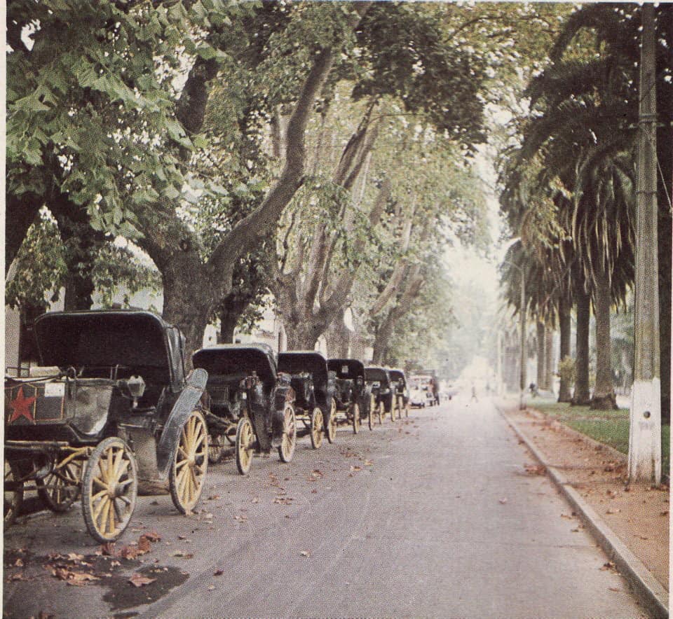 Coches y victorias, el transporte en Barrio Bisquertt